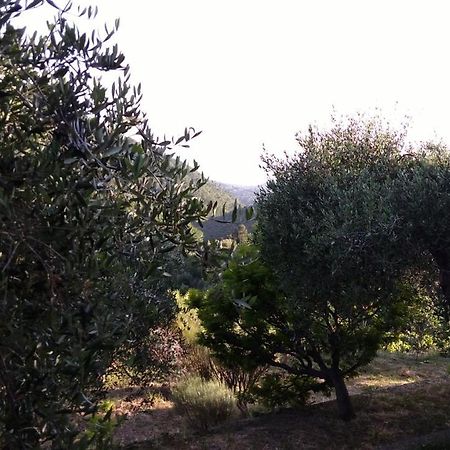 La Porta Del Sole Appartamento Nell'Oliveto เซบอร์กา ภายนอก รูปภาพ